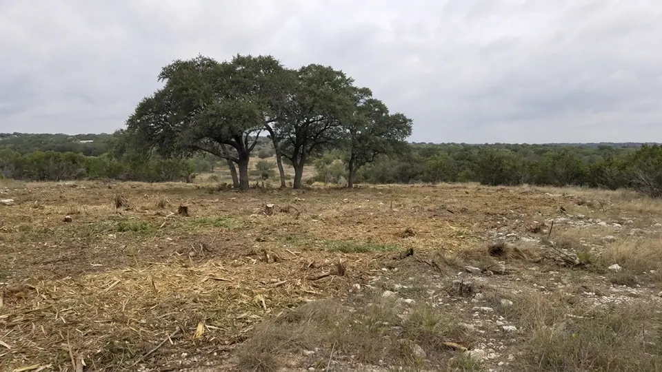 Freshly mulched pasture in North Texas