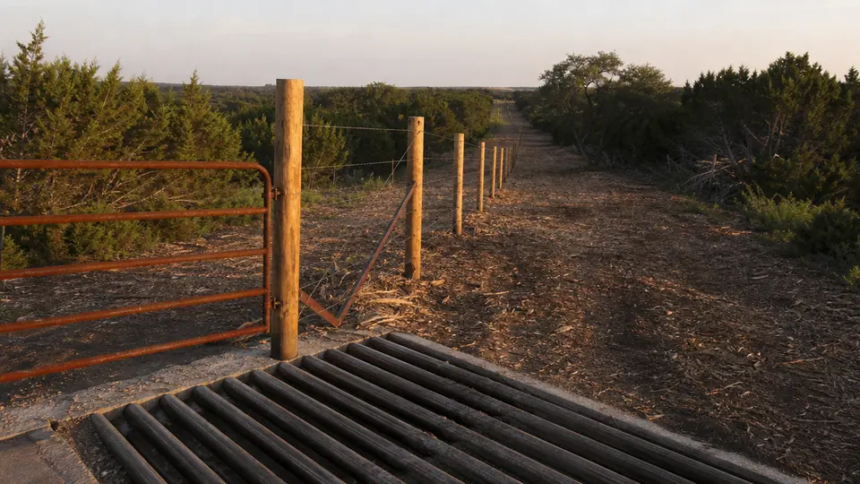 Cleared fence line on a North Texas ranch at golden hour